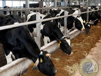 Ceny mleka znów w dół. Gdzie mleczarnie płacą najmniej?