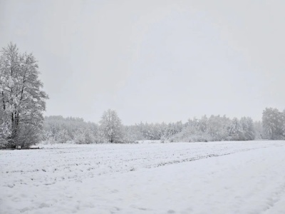 Pogoda na najbliższe dni: zima wraca na całego. Śnieg, gołoledź i duże wahania temperatur
