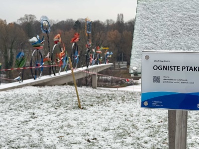 Ptaki Hasiora - płonące czy ogniste? Każda z tablic mówi co innego