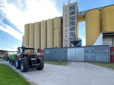 Pszenica drożeje nawet o 50 zł. Sprawdź najnowsze ceny zbóż i rzepaku w Polsce
