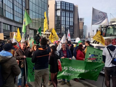 Rolnicy planują masowy protest przeciwko decyzjom Komisji Europejskiej. Gdzie i kiedy?