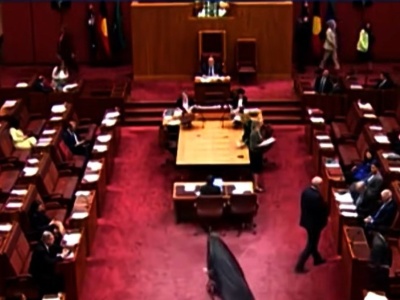 Senator w burce i szpilkach wywołała skandal. Oskarżenia o rasizm i islamofobię