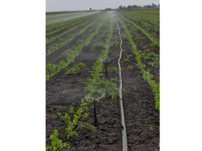 Czym Jest Linia Kroplująca i Jak Funkcjonuje?