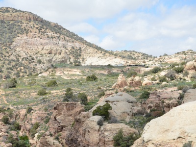Neolityczne stanowisko zmienia nasze spojrzenie na prehistorię. Jakie tajemnice kryje Ain Ghazal?