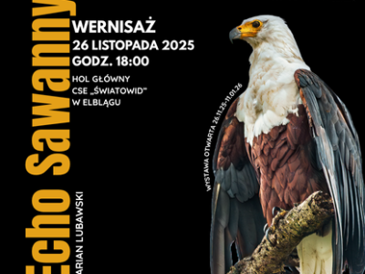 Echo Sawanny w Światowidzie