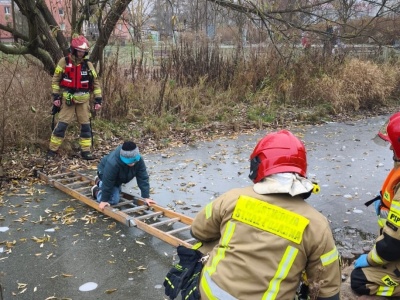 10-latek wszedł na zamarznięte oczko wodne w Olsztynie. Lód zaczął pękać