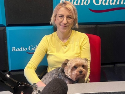 Pomóż zwierzętom przetrwać chłód. Szefowa słupskiego schroniska radzi, jak zimą karmić dzikie koty