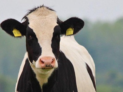 Krzysztof Hetman o umowie Mercosur: „Ciągle nie zmamy jej treści!”