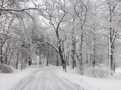 To górskie uzdrowisko utonęło w śniegu. Możesz mieć problem z dojazdem
