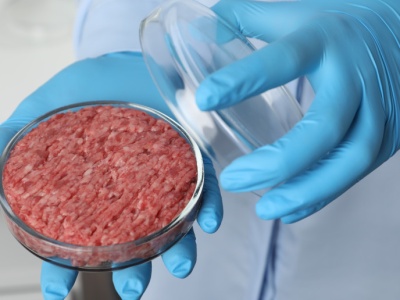 Węgry idą śladem Włoch i wprowadzają zakaz. „Chodzi o naszą tożsamość”