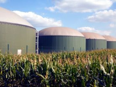 Spór na mazurskiej wsi. Nie chcą inwestycji uczestnika reality show