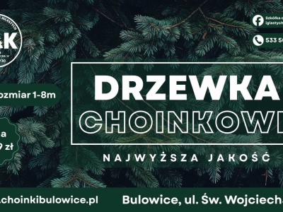 Polacy przepłacają za choinki – a wcale nie muszą!