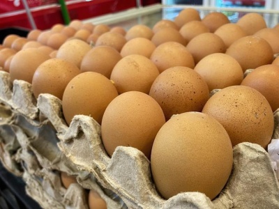 Brazylijskie i tajskie jaja podbiją Polskę? Przetwórnie kuszone niskimi cenami surowca