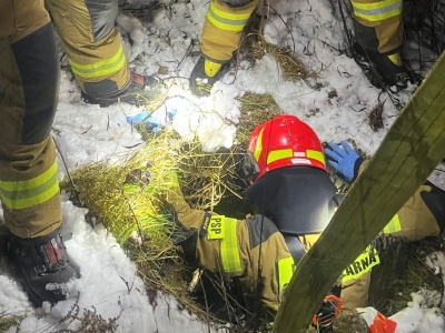 Zaskakujący finał interwencji. W studzience przebywał nieoczekiwany gość