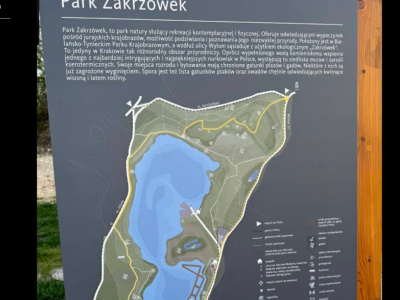 Zakrzówek bez nowego parkingu. Priorytetem jest zieleń