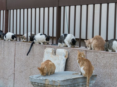 Koniec z samowolką. Turcja powiedziała dość. Takie zachowania są zakazane