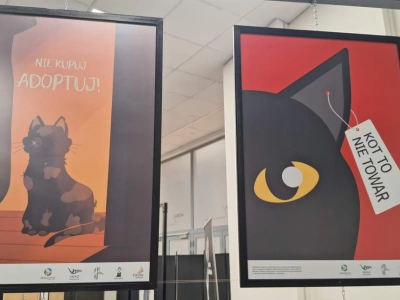 Wystawa „Kocie sprawy”, czyli o kotach i „człowiekach”