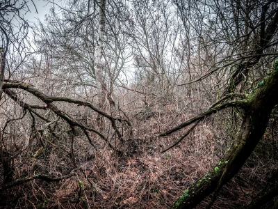 Nowy rezerwat przyrody nad morzem. Turystów obowiązują specjalne zasady