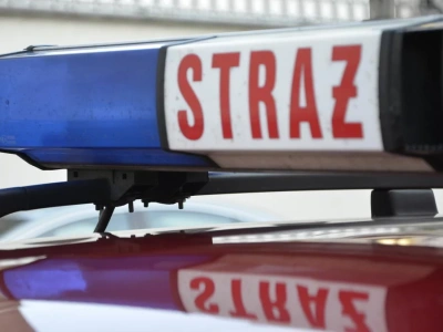 Tajemniczy pożar w Zgierzu. Spłonął garaż, w środku mężczyzna ze śladami pobicia