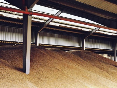 26.11.2025 Ceny skupu zbóż, kukurydzy, oleistych i strączkowych: nieznaczne podwyżki