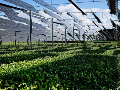 Rolnicy chcą łączyć uprawy z fotowoltaiką. Ministerstwo rolnictwa mówi „tak”