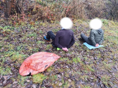 Wędkarz przyszedł pomagać w zarybianiu jeziora. Szczupaki zamiast do wody pakował do samochodu