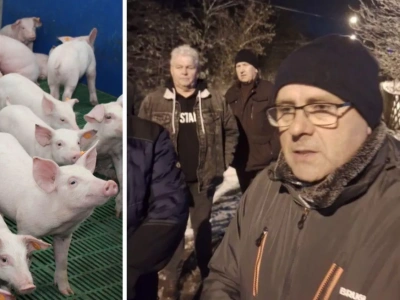 „Czujemy się jak niewolnicy”. Rolnicy zapowiadają wyjazd pod Animex