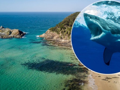 Śmiertelny atak rekina. 20-latka zginęła na miejscu