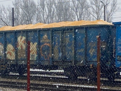 Ludzie alarmują o transportach zgniłej kukurydzy z Ukrainy. Ministerstwo pisze o dezinformacji