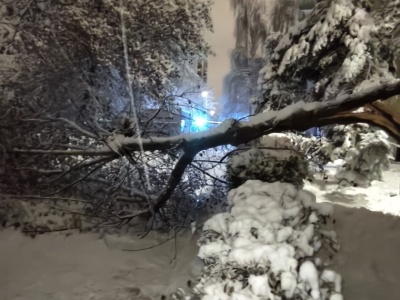 Mokry śnieg łamał drzewa i linie energetyczne. Trudna noc dla służb