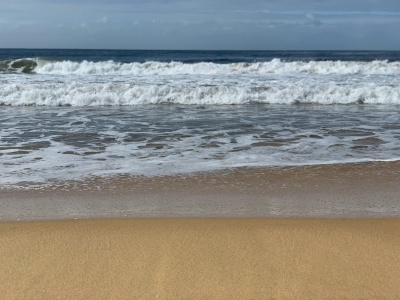 20-latka zginęła po ataku rekina. Druga osoba trafiła do szpitala. Przeżyła dzięki świadkom