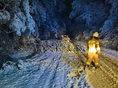 Atak zimy w Wielkopolsce. Setki interwencji strażaków