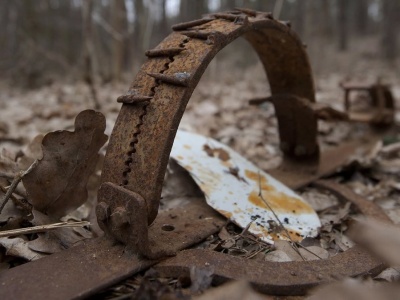 Leśnicy pokazali zdjęcia i ostrzegają. 