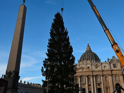 Na Placu św. Piotra rozpoczęto ustawianie choinki