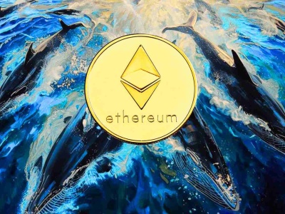 Ten token wyrasta na nowego lidera. Wieloryby i instytucje akumulują na potęgę. „Najlepszy moment na akumulację”