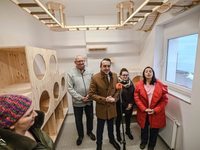 Nowa kociarnia w Zielonej Górze. Koty w schronisku już nie w króliczych klatkach