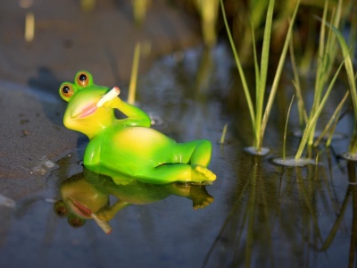 W miłości, na wojnie i w późnym kapitalizmie wszystko jest dozwolone