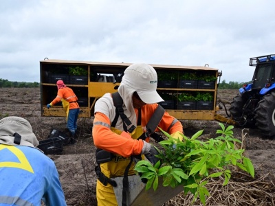 Trwa walka o ostateczny kształt umowy z Mercosur. 
