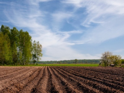 Strategia Rozwoju Polski 2035 już jest. Czy znalazło się miejsce dla rolnictwa?