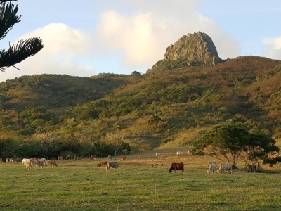 Ponad 122 tysiące hektarów i stado 9000 sztuk bydła. Legendarna farma sprzedana