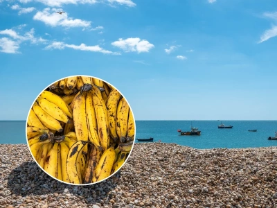 Blokada rejsu przez banany. Na plaży pojawiły się tysiące owoców