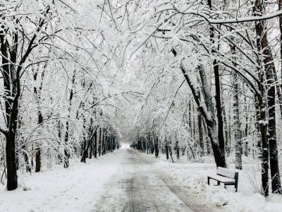 Czy Boże Narodzenie będzie białe? Meteorolodzy mają najnowsze dane