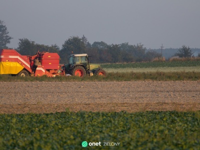 Świat traci 5 mld dol. na godz. Alarmujący raport ONZ