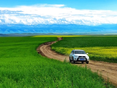 Nowy limit alkoholu we krwi kierowcy. Nadchodzi wielka drogowa rewolucja – szczególnie dla młodych!