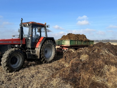 Czy obornik można wywozić na pole zimą?