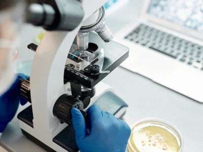 73 mln zł na nową generację terapii onkologicznych. Projekt PACMAN wygrywa WIB