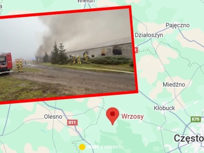 Pożar kurnika na Śląsku. Spłonęły tysiące kurcząt