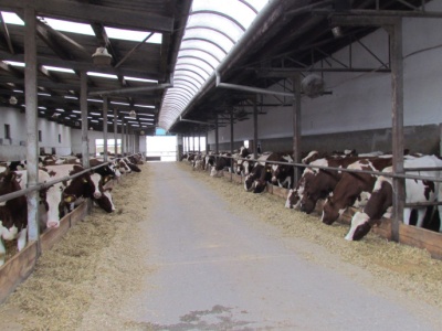 Koniec wygodnego alibi? Dr Jerzy Plewa o odpowiedzialności polityków za WPR