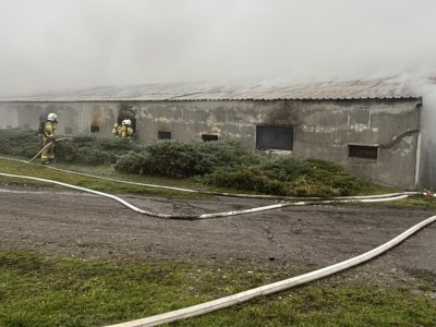 Makabryczny pożar we Wrzosach. Tysiące zwierząt spłonęło