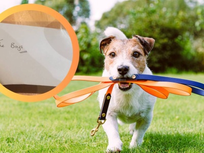Napisali do sąsiadki list w sprawie psa. Niesamowita reakcja kobiety